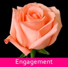 09 Engagement