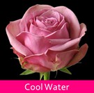29 Cool_Water